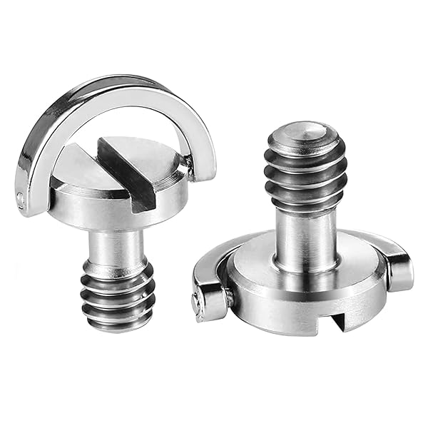 ԥޡåȤ㤨֥ॳ ͥ 1/4ͥ ƥ쥹Ǻ Dդ ͥͥ ġ 2ĥåȡפβǤʤ864ߤˤʤޤ