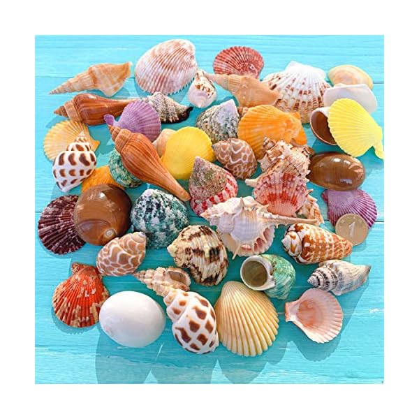 ԥޡåȤ㤨MUYYIKA ե   å ŷǺ ߥå ӡ  վ   Ź  ӡʪ 쥸 DIY 奨꡼ ꡼ѡ ʡפβǤʤ3,420ߤˤʤޤ