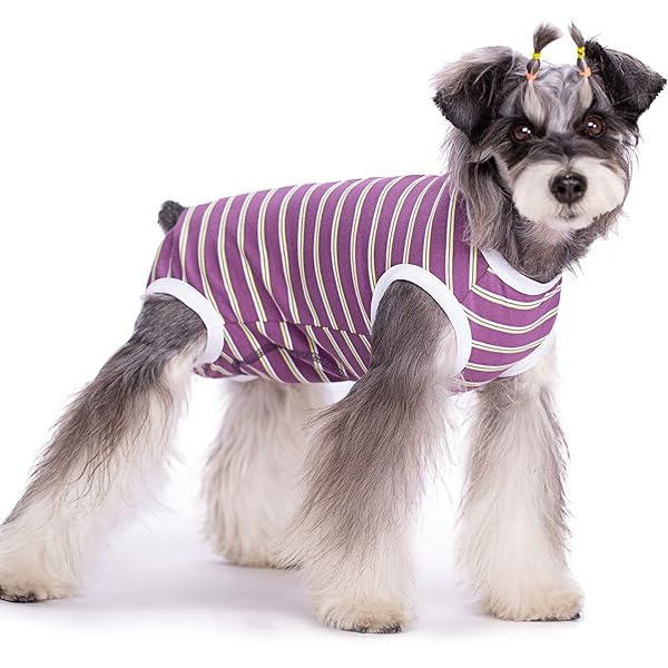 KUVEELA PET 犬用術後服 生理パンツ 犬服 術後ウェア 術後カバー服 保護服 エリザベスカラーに代わる オス メス 去勢 避妊 離乳 小型犬 中型犬 男の子 女の子（（生理パンツ式）パープルストライプ S）
