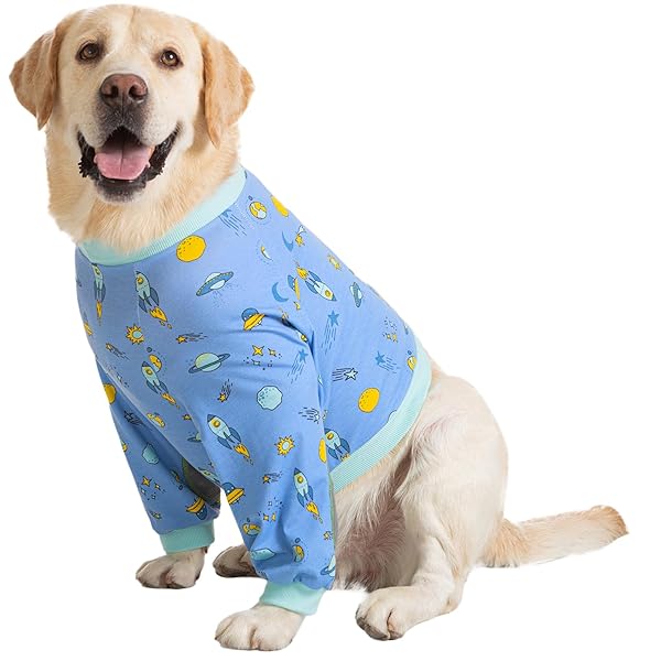 KUVEELA PET 犬用服 長袖 犬服 関節保護 関節の炎症 高齢補助 カバー服 前足 サポーター 保護服 オス メス 中型犬 大型犬 ラブラドール ゴールデンレトリバー ボーダーコリー 秋田犬（ライトブルー 5L）