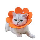 Apettogo エリザベスカラー 猫 犬 ソフト 軽量 防水 傷舐め防止 引っ掻き防止 傷口保護 手術後のケア 柔らかい (オレンジ、S)