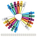 Ntcpefy 18個のメタル 楽器 フルートコンパニオン カズーダイヤフラム付き ギター、ウクレレ、ヴァイオリン、ピアノ鍵盤用