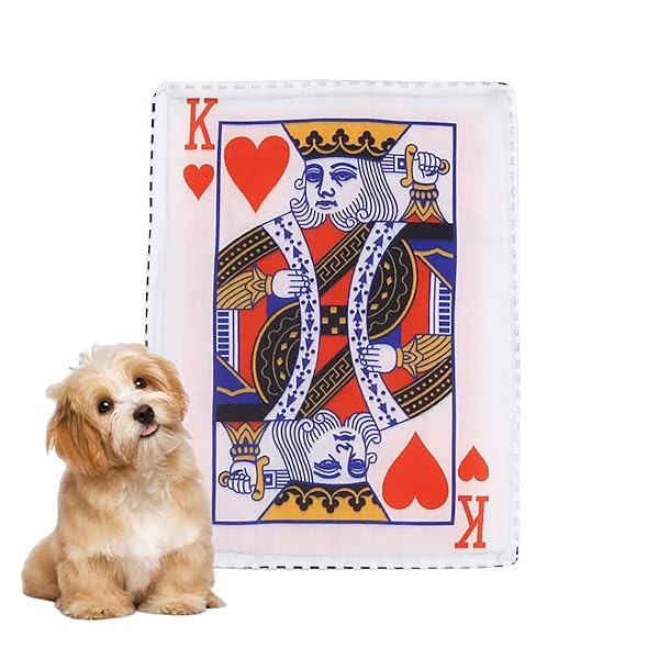 GOODCHI 犬 おもちゃ 噛むおもちゃ 犬専用新聞おもちゃ 知育おもちゃ ストレス解消 耐久性 噛み耐性 清..