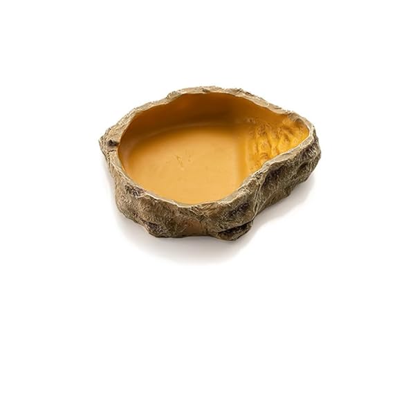 MUYYIKA 爬虫類 えさ皿 餌入れ 食器 水飲み場にも 飼育ケース スアクセサリー 亀 ヤモリ トカゲ クモ サソリ 両生類 フィーディングディッシュ ウォーターディッシュ 綺麗で安定 使い易い