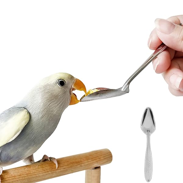 オウムのスプーン 鳥用スプーン インコ スプーン 給餌スプーン オウムの粉乳スプーン 粉ミルク 水やり ..