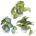 XiaZ フェイクグリーン 3点セット 卓上 人工観葉植物 ミニ インテリアグリーン 小型 小さい鉢植えフェイク造花 おしゃれ 緑 植物 鉢 水やり不要 お世話...