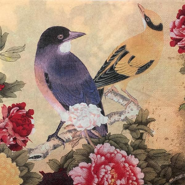 Zelten 結婚式・ディナー・ティーパーティー用カラーペーパーナプキン 20枚入り シャビーシックデザイン シャワーパーティー用, カササギとボタン