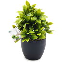 TOSSOW 人工観葉植物 フェイクグリーン 観葉植物 フェイク 造花 ミニ インテリア 世話のいらない 可愛い贈り物 クリスマスツリー