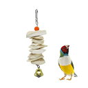 カトルボーン 鳥 おもちゃ ベル インコのおもちゃ 吊り下げ イカの骨 小鳥 セキセイインコ オカメインコ 噛むおもちゃ カルシウムの補給 くちばし調整(4)