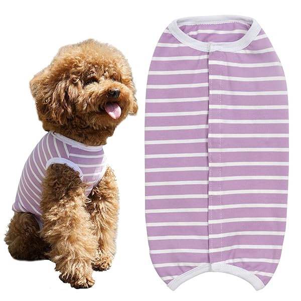 KUVEELA PET 術後服 犬 服 犬用品 術後ウェア 術後カバー服 エリザベスカラーの代わる 保護服 雄 雌兼用 避妊 離乳 傷口保護 皮膚病 通気 夏用 小型犬 中型犬（M、パープルボーダー）