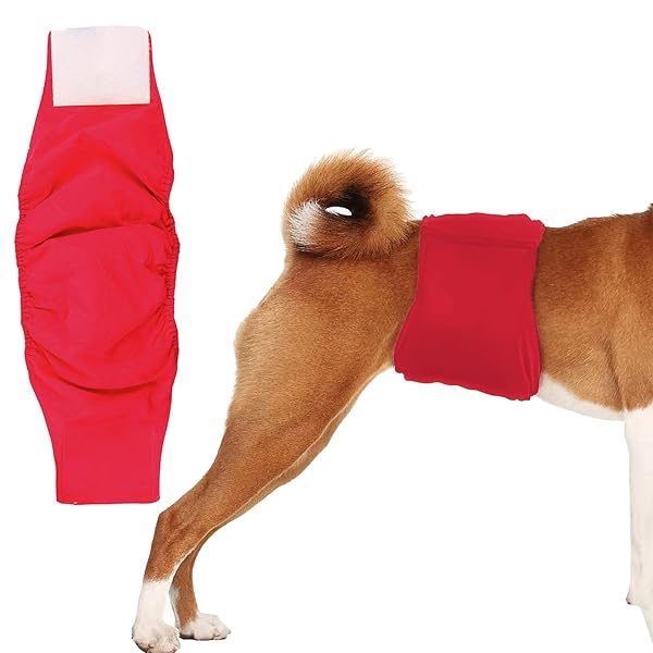 KUVEELA PET 犬用マナーベルト 雄犬用おむつ 犬用オムツカバー 男の子 お散歩 お外出 室内 おでかけ 介護 発情期 通気性 吸水性良い 再利用可能（レッド XL）