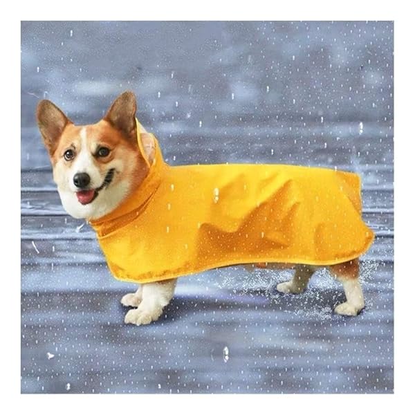 3°Amy 犬レインコート ペット犬用防水ジャケット (Color : Yellow, Size : 2XL)