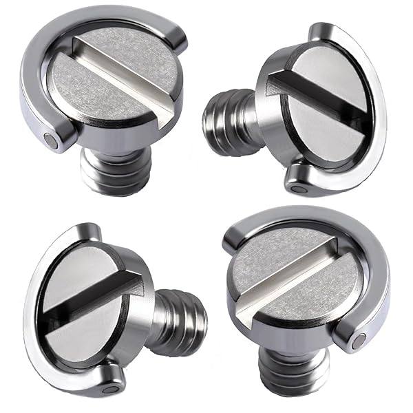 ԥޡåȤ㤨֥ॳ 1/4ͥ ͥ Dդ ͥץå Ϣͥ ͥץ ġ4ˡפβǤʤ1,111ߤˤʤޤ