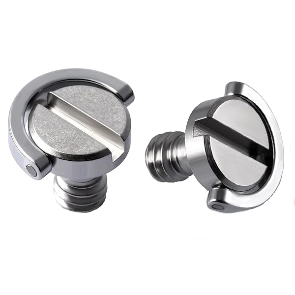 ԥޡåȤ㤨֥ॳ 1/4ͥ ͥ Dդ ͥץå Ϣͥ ͥץ ġ2ˡפβǤʤ883ߤˤʤޤ