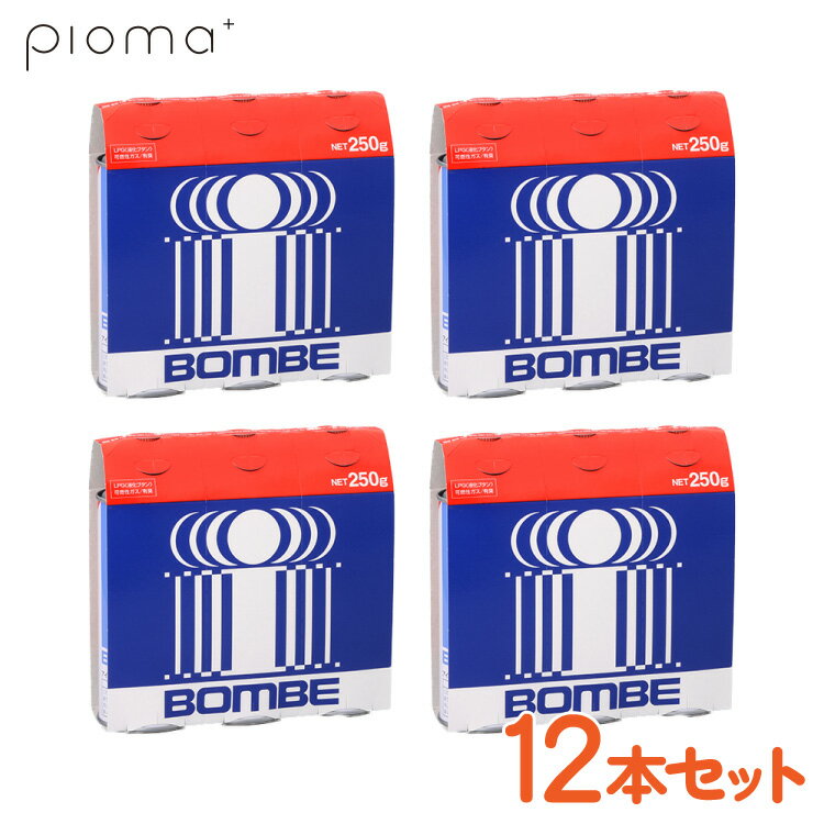 アイ・ホンベ｜カセットボンベ 250g3本セット×4本 PB-250-I PB250I3P カセットガス ガスボンベ 防災備蓄 アウトドア 災害 在宅避難 防寒対策 調理器具 煮沸消毒 暖房器具 カセットガス アイシステムネットワーク ローリングストック キャン