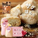 九州 純 バタークッキー 国産 バタークッキー ざくほろ 無添加 和三盆 贅沢 お菓子 ギフト クリスマス お菓子 大量 イベント 配布 プチギフト パーティ パーティ用 お菓子 クッキー 洋菓子