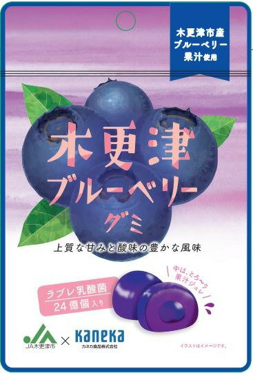 おいしい フルーツ おやつ こども 酸味 果汁ジュレ 乳酸菌 ブルーベリー グミ 木更津 ブルーベリーグミ ラブレ乳酸菌入 731