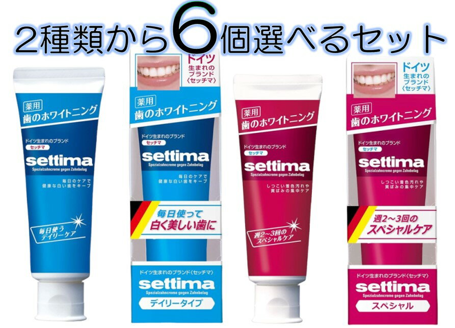 配送料無料 セッチマはみがきデイリータイプ・スペシャルタイプ 2種から6個選んで買えるセット