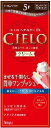 【CIERO】シエロヘアカラーEXクリーム 5P ダークピュアブラウン 40g+40g