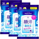 【在庫限り】マンダム ハッピーデオ 極氷冷 フェイスシート アイスシトラス&ミント 20枚 ×3個セット