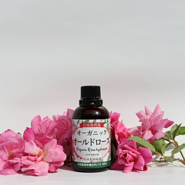 �������˥å� ������ɥ����� �ϥ��ɥ����� 65ml �����ޥ����� ���� ���������������� �ե�����륦�������� ͭ�� �鯿� �������� �Х�� �Ф� ˧���α�� ȩ�Ӥ� ȱ���� Ƭ�� ���� �إ������ץ쥼��� ���� ���ѿ� ȩ���� �ӷ� �������󥰥��� �Ҵ�ȩ �ץ����ե�