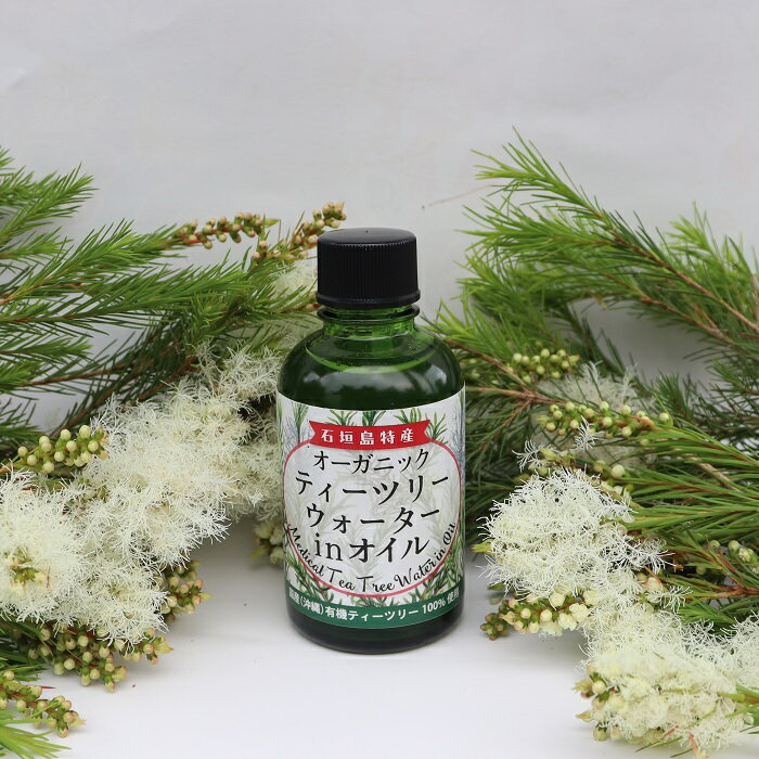 �������˥å��ƥ����ĥ꡼ in ������ �ϥ��ɥ����� 65ml ͭ��JAS �ƥ����ĥ꡼ ���ѿ� Ƭ���������� ȱ���ӥ��� �ե�����륦�������� �ϡ��֥��������� �ƥ����ĥ꡼������ �ƥ����ȥ꡼������ �ƥ��ĥ꡼������ ��α�� �г��� ���ڻ� �ƥ����ȥ��꡼������ Ƭ�饱��