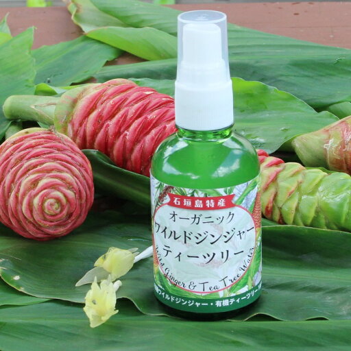 オーガニックワイルドジンジャー&ティーツリーハイドロゾル 65ml 精油 アロマオイル フローラルウォーター 芳香蒸留水 ティツリー ティートゥリー エイジングケア 頭皮ケア 髪の毛 ヘアーケア フェイスケア ローション 敏感肌 贈り物 プレゼント ギフト 思春期 美容液 オーガニックワイルドジンジャー&ティーツリーハイドロゾル 65ml 精油 アロマオイル フローラルウォーター 芳香蒸留水 ティツリー ティートゥリー エイジングケア 頭皮ケア 髪の毛 ヘアーケア フェイスケア ローション 敏感肌 贈り物 プレゼント ギフト 思春期 美容液