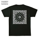 ペイズリー バンダナ柄 バックプリントTシャツ 半袖 メンズカジュアル バイカー モーターサイクル半袖 Tシャツ メンズカジュアル 5001 ストリート モーターサイクル バイカー カジュアル ユナイテッドアスレ UnitedAthle プリントTシャツ(4)