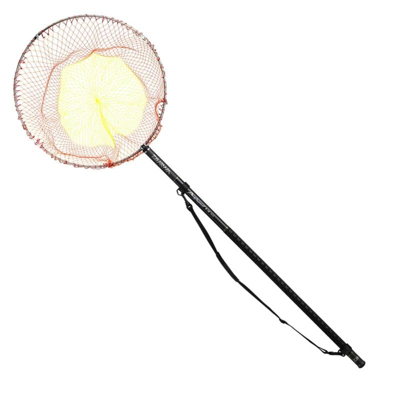 ダイワ(DAIWA) 網付き玉の柄 プログランド磯玉網 60-50・W