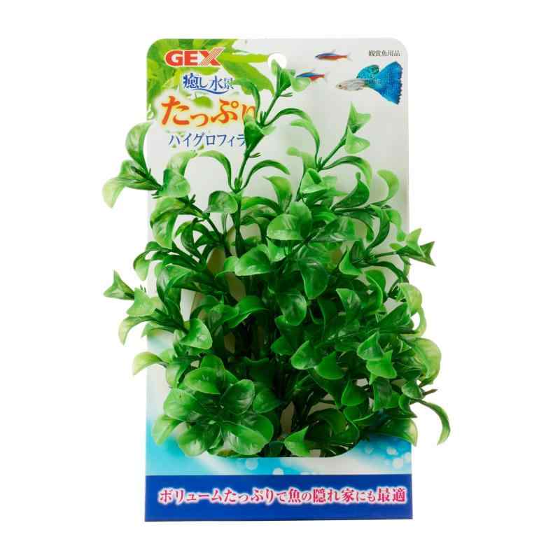 ジェックス 癒し水景 たっぷり ハイグロフィラ×3個セット
