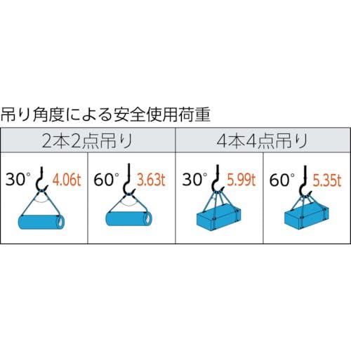 ぴっぴストア 楽天市場店のTRUSCO(トラスコ) ワイヤーロープスリング Aタイプ アルミロック 16mm×6m TWAL-16S6｜アングル3