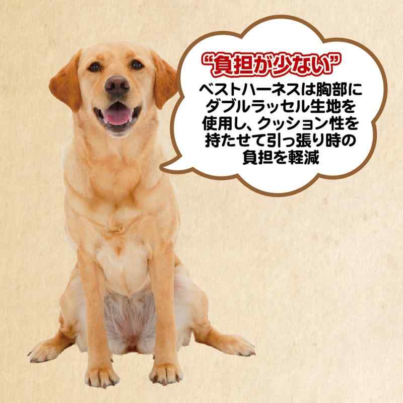 ペティオ (Petio) 首輪 メリカジ スターカラー レッド 犬用 M サイズ