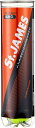 DUNLOP(ダンロップ) 硬式 テニス ボール St.JAMES (セント・ジェームス) 4球入×30ボトル(120球)