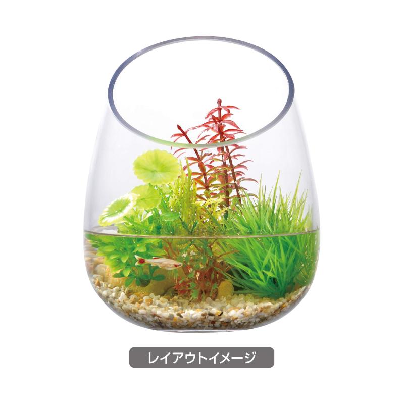 GEX ジェックス 癒し水景 ボトルプランツ ロタラ