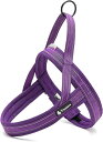 cocomall 喉に優しい犬ハーネス TRUE LOVE 犬用ハーネス 犬用胴輪 ドッグ ペット用品 ハーネスリード 3M反射材料 訓練 ナイロン製 小型犬、中型犬、大型犬に向け 通気性 調節可能 夏に(4)