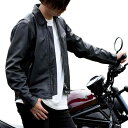 デイトナ(Daytona) バイク用 レザー ジャケット 本革(撥水加工) 春秋冬 シングル ライダース 襟あり DL-002 ブラック XLサイズ(メンズ) ...