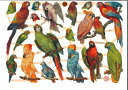 ドイツ製 クロモス☆インコ オウム 鳥☆(Papageien)デコパージュ コラージュ スクラップピクチャー ダイカット エンボス アンティーク
