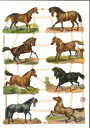 ドイツ製 クロモス☆8 Pferde Motiv 1☆馬 うま ウマ 犬 動物デコパージュ コラージュ スクラップピクチャー ダイカット エンボス アンティーク