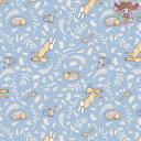 【巾 約100cm 最低30cmから10cm単位 切り売り】Anita Jeram アニタ ジェラームGuess How Much I Love You☆For...