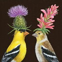 ★PPD Vicki Sawyerシリーズ 　可愛い　ペーパーナプキン　デコパージュ　☆渡り鳥のカップル オウゴンヒワ☆（Goldfinch Couple）（1枚/バラ売り）