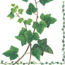 ★オランダ Ambiente 素敵な ペーパーナプキン デコパージュ ☆アイビー ヘデラ 観葉植物☆(Ivy Tendril)(1枚/バラ売り)