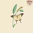 Paper+Design ペーパーナプキン ☆Nature Butterfly☆(1枚・バラ売り)蝶 アゲハ 幼虫 昆虫 可愛い お洒落 エレガント 華やかデコ...