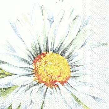 ドイツ IHR 素敵な ペーパーナプキン デコパージュ☆大柄 デイジー 白色の花☆（THEA）（1枚/バラ売り）