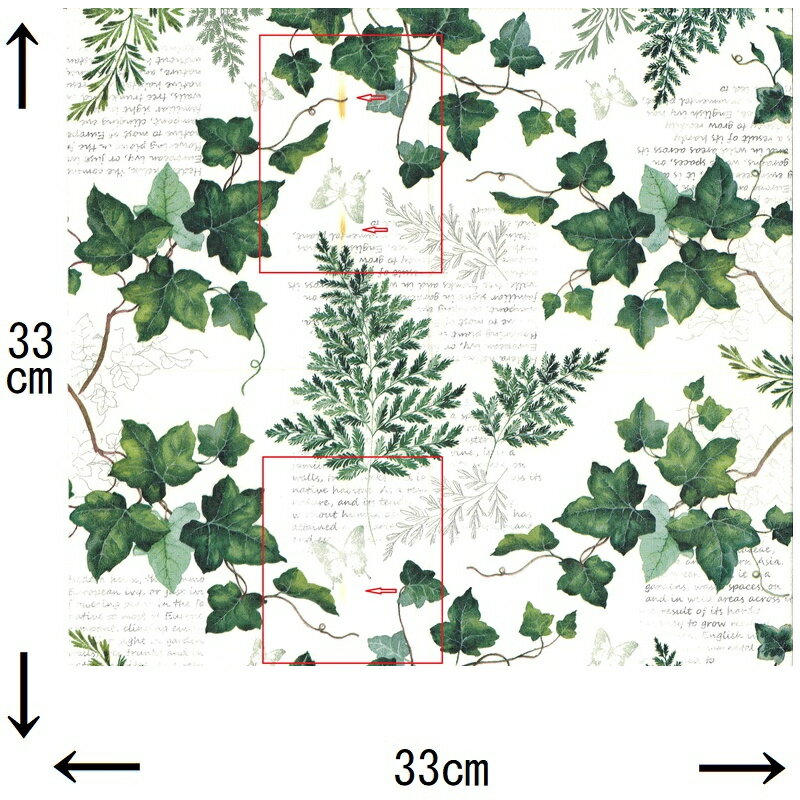 【訳あり商品】IHR ペーパーナプキン☆ELWIN cream☆（1枚/バラ売り）アイビー 観葉植物 英字 蝶 植物 デコパージュ【ノークレーム・ノーリターン】