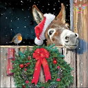 Ambiente ペーパーナプキン☆Friends With Donkey☆ (1枚/バラ売り) 小鳥 馬 動物 リース 雪 クリスマス 素敵 お洒落 デコパー...