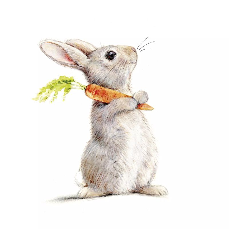Rakuten - PPD ペーパーナプキン☆Rabbit & Carrot☆（1枚/バラ売り）ウサギ うさぎ イースター にんじん 素敵 可愛い お洒落 デコパージュ ハンドメイド