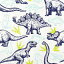 ɥġHOME FASHIONİ ڡѡʥץ󡡥ǥѡ塡͡ҶˤεȥꥱȥץƥΥ륹֥饭륹ƥ륹(Dinosaurs)1/Х