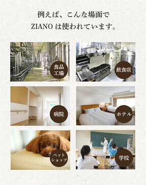 【500円クーポンあり！】次亜塩素酸水　次亜塩素酸ナトリウム 　ZIANO ジアーノ　　200ppm　業務用　20リットル　送料無料 除菌スプレー 消臭スプレー 無害 ペット 食中毒予防 ウイルス 菌 赤ちゃん 花粉対策　除菌 消臭 加湿器　学校　病院 ホテル 介護　次亜水