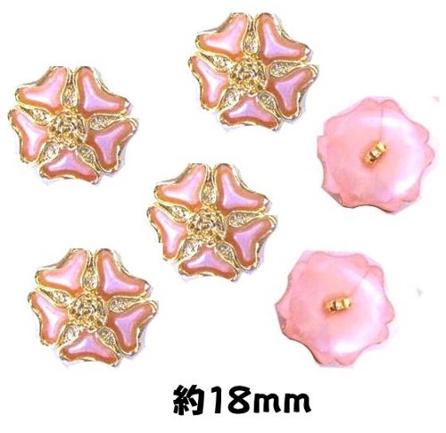 ��ŹƬ�߸˽�ʬ��Х�Х� �ò� �ܥ��� �� �� ) �ԥ�/������ɡʶ�˷� �� 18�ߥ� ) �ܤ��� ���� ������� �Ф�ܥ��� ���