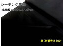 < ハギレ 40cm > 生地 カラー 綿 シーチング 無地 ( 綿100% ) 黒(約88cm幅×40cm)( はぎれ ハギレ コットン シーチング無地 ピロ...